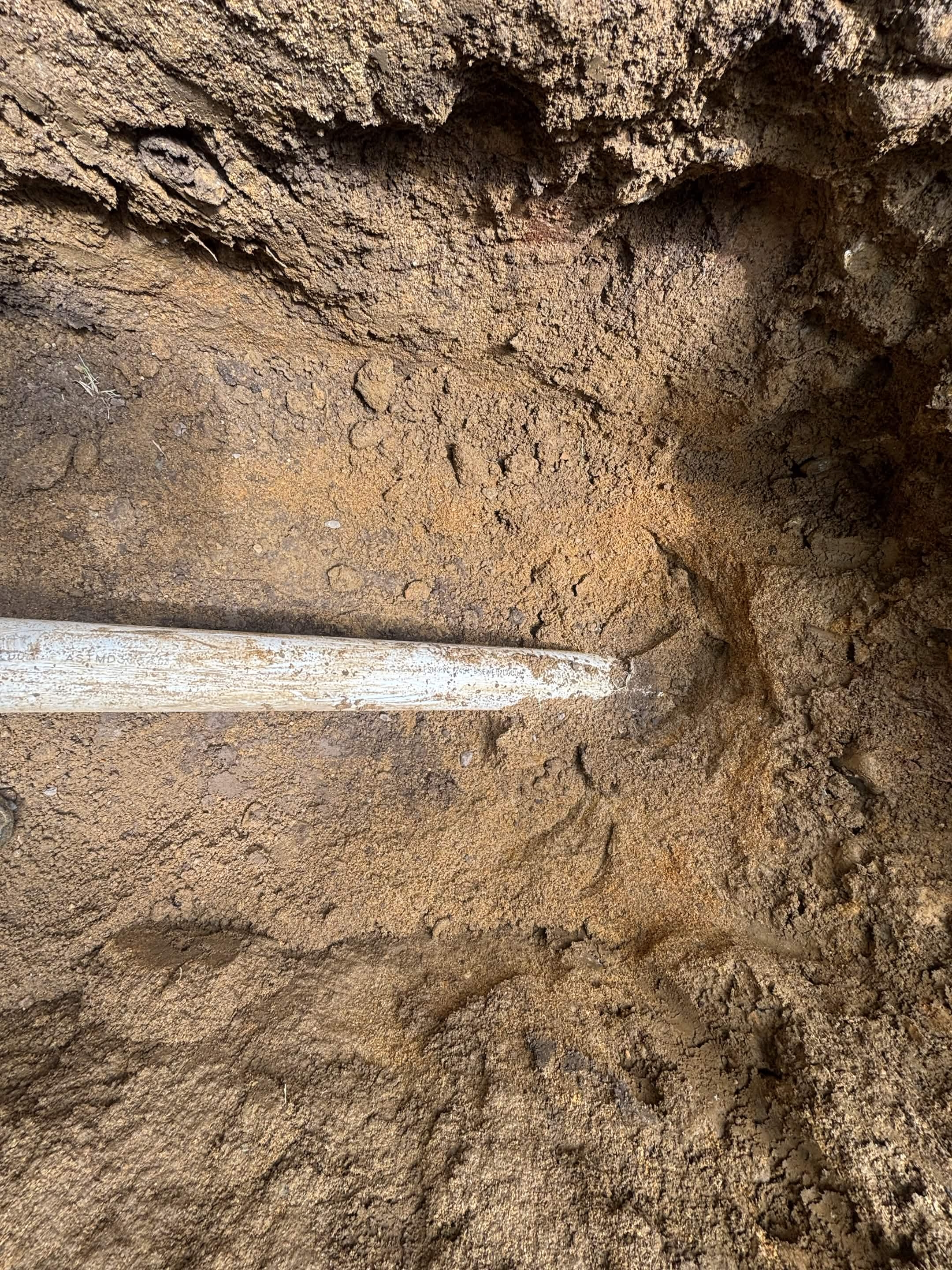 Soft saturated ground showing extent of drainage problem